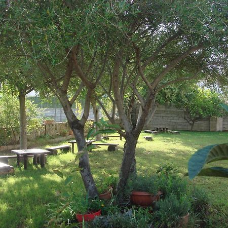 Grazia Deledda Bed & Breakfast Galtellì Eksteriør bilde