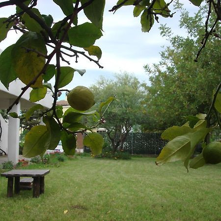 Grazia Deledda Bed & Breakfast Galtellì Eksteriør bilde
