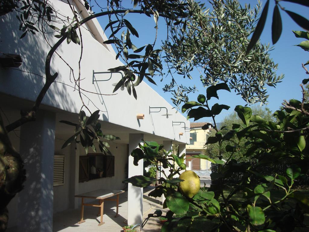 Grazia Deledda Bed & Breakfast Galtellì Eksteriør bilde